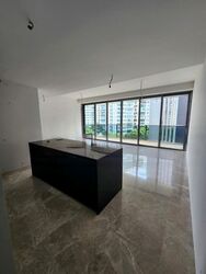 Amber Park (D15), Condominium #457937551